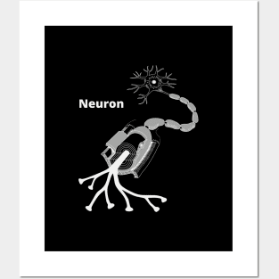 Neuron synapse anatomical structure Posters and Art